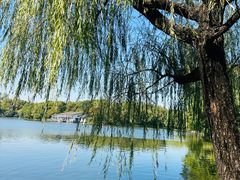 -上海共青森林公园