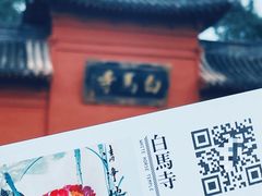 -洛阳白马寺