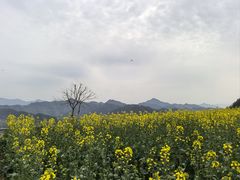 -石潭村