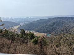 -惠山国家森林公园