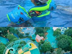 -苏州乐园森林水世界