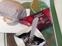 -麦当劳(塔园路店)