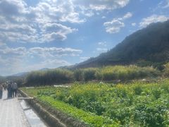-福建土楼(南靖)景区