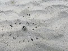 -奉贤海滩