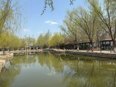 -杨柳青庄园