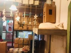 -猫咪博物馆(顶澳仔猫街店)