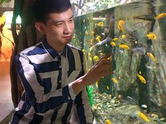 -重庆欢乐海底世界