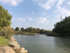 -九里河湿地公园
