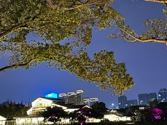 -江心屿景区