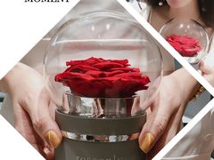 -ROSEONLY诺誓(广州K11店)