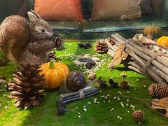 -初拾·花里餐厅(钜城华亿店)