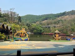 -西双版纳原始森林公园