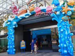 -海合安成都极地海洋公园