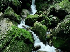 -青城山