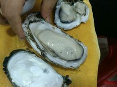 -蚝专家(北滘店)