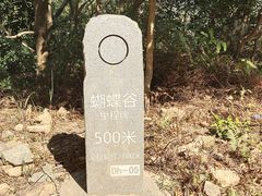 -梧桐山风景名胜区