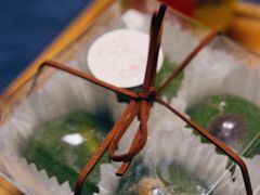 -夏至烘焙(上悦城店)