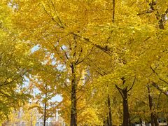 -浙江大学(紫金港校区)