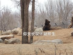 -北京野生动物园