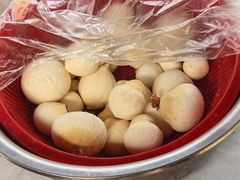 -东郊椰林