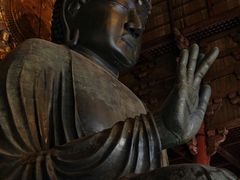 -奈良公园