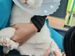 -美联众合动物医院·24h转诊中心