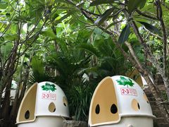 -100蛋泥浆浴
