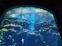 -暹罗海洋世界