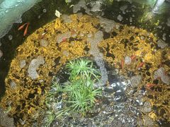 -锦上中式酒馆(南内环店)