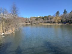 -井之头恩赐公园