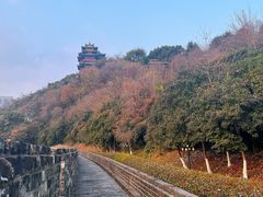 -阅江楼风景区