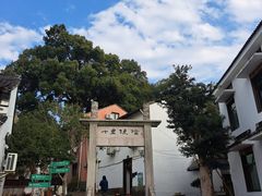 -春娟茶楼·地道农家菜(梅家坞店)