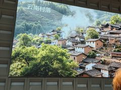 -菌自在·云南野生菌火锅(长安万达店)