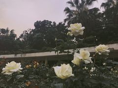 -人民公园(罗湖区)