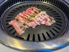 -杨记齐齐哈尔烤肉(总店)