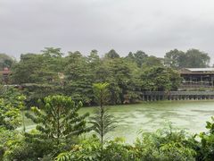 -河川生态园