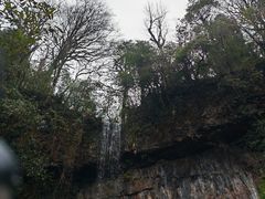 -龙苍沟森林公园