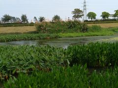 -那考河湿地公园