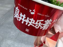 -黑色经典臭豆腐·湖南特产(潇湘文化店)