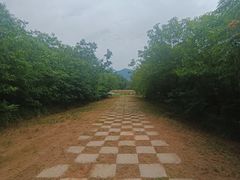 -秦始皇帝陵博物院-丽山园