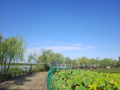 -绿堤公园