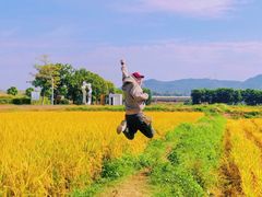 -光明小镇欢乐田园