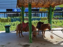 -萌宠亲子动物乐园(槐房万达店)