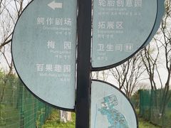 -中国扬子鳄村