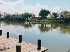 -呈贡滇池生态湿地公园