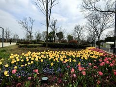 -苏州上方山国家森林公园