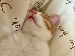 -北京赛佳动物医院