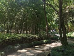 -兰亭风景区
