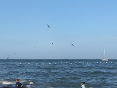 -日照灯塔风景区