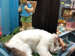 -无锡日航饭店